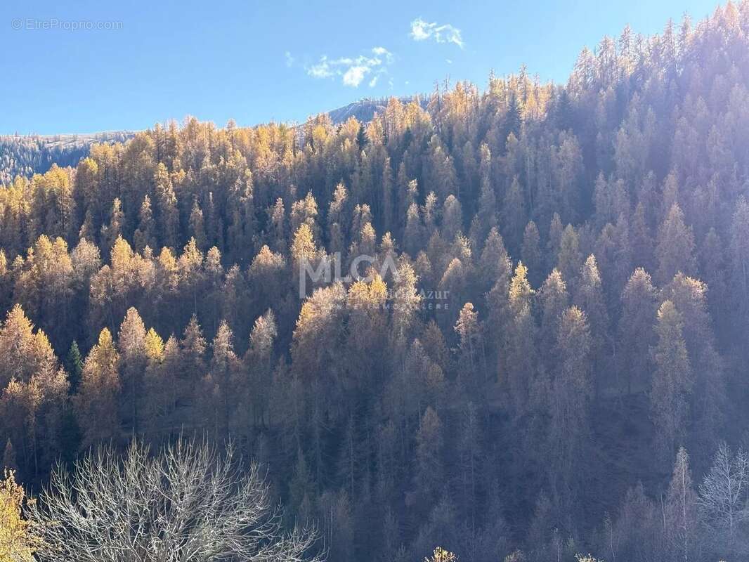 Appartement à SAINT-ETIENNE-DE-TINEE