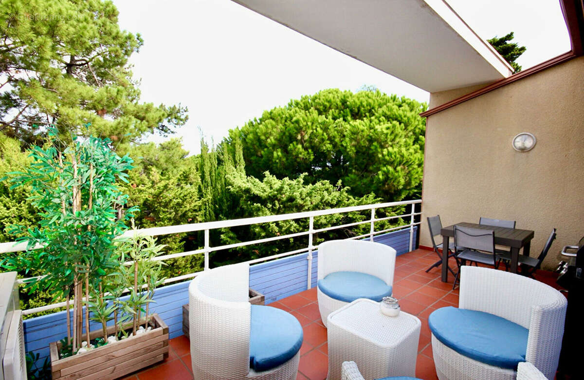 Appartement à COLLIOURE