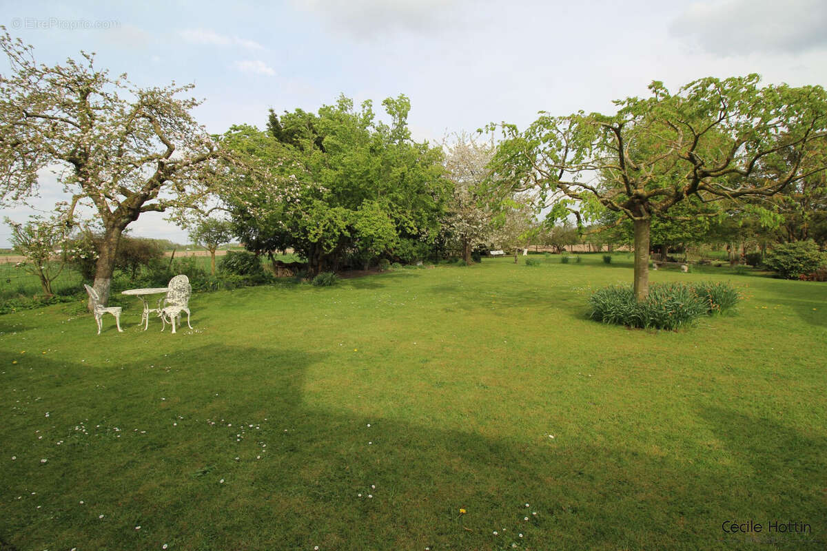 Maison à TOURMIGNIES