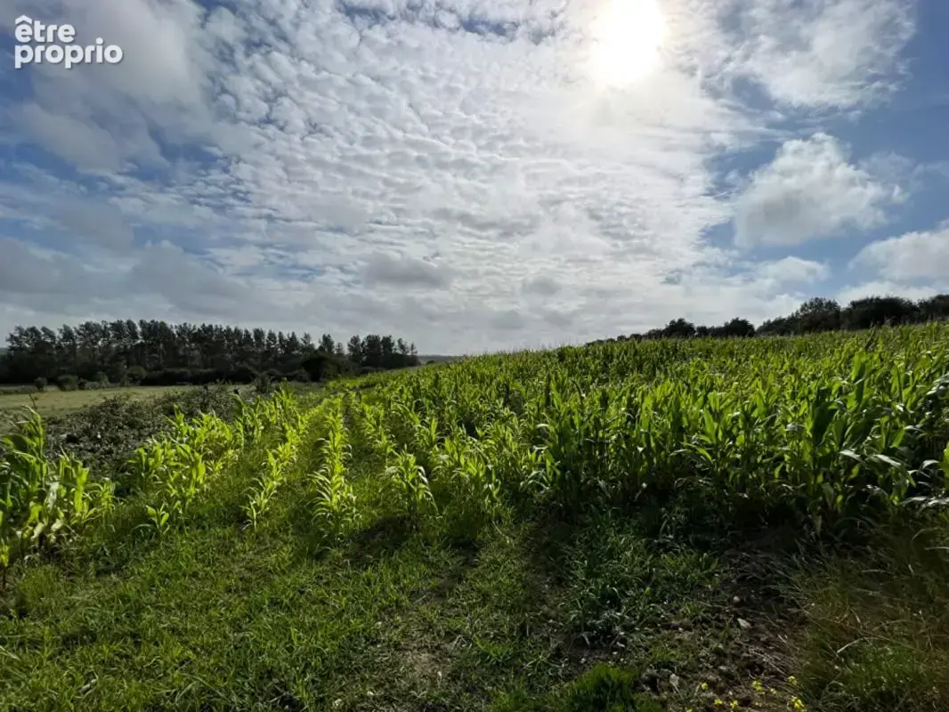 Terrain à MARQUISE