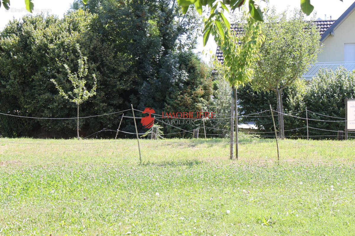 Terrain 507 m² à Saint-Bernard  - photo 2