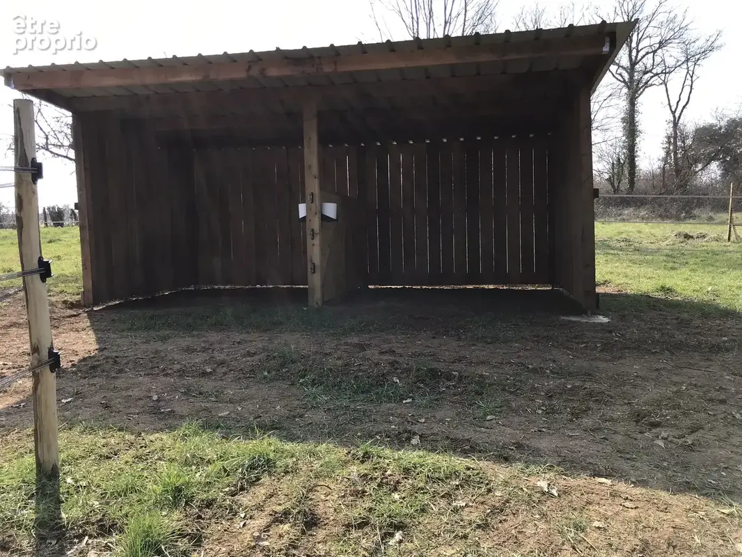 Maison 217 m² à Chateauneuf-Sur-Charente  - photo 30