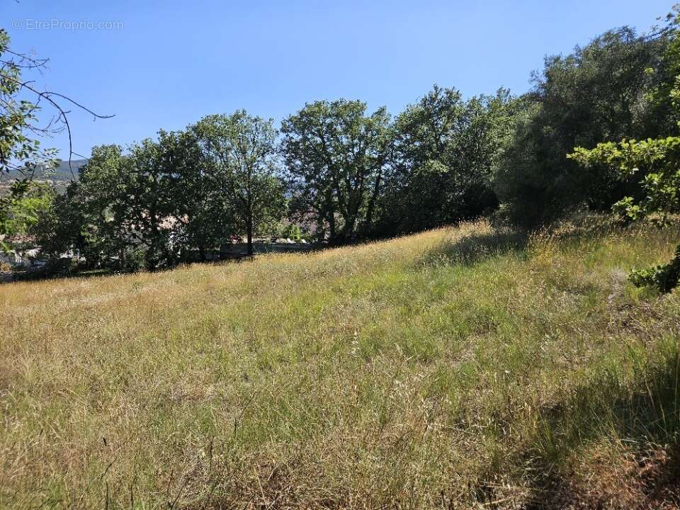 Terrain à ROQUEBRUNE-SUR-ARGENS