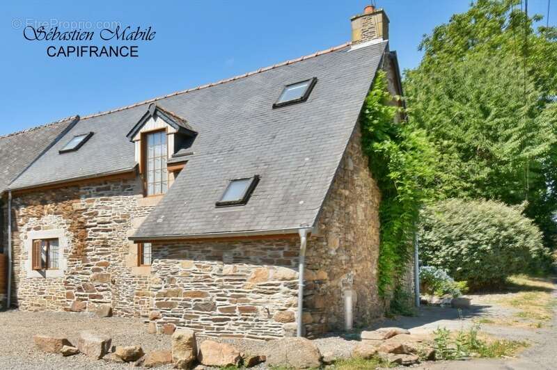 Chambres d'hôtes et gîte à vendre en Bretagne 9 pièces SOUGEAL (35) en Baie du Mont Saint Michel - Terrrain de 2200 M² - photo 35