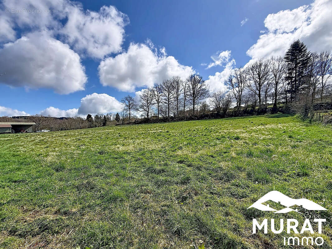 Terrain à CHAPDES-BEAUFORT