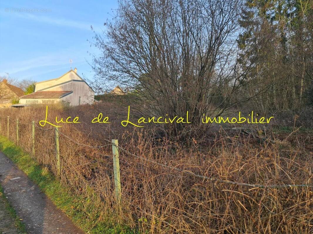 Photo 1 - Terrain à SAINT-GOBAIN