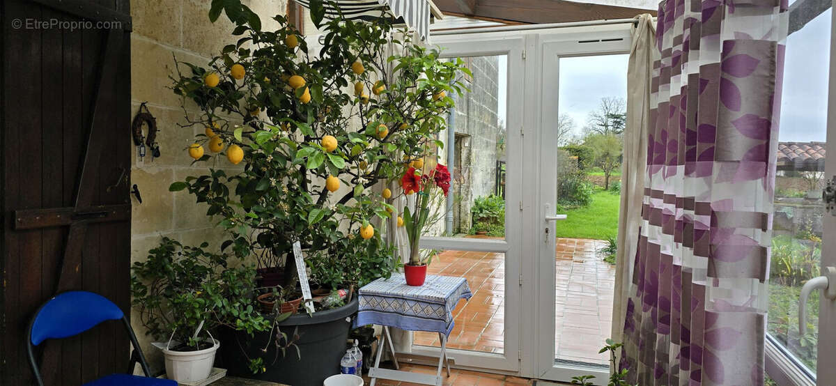 Maison à SAINT-GENIS-DE-SAINTONGE