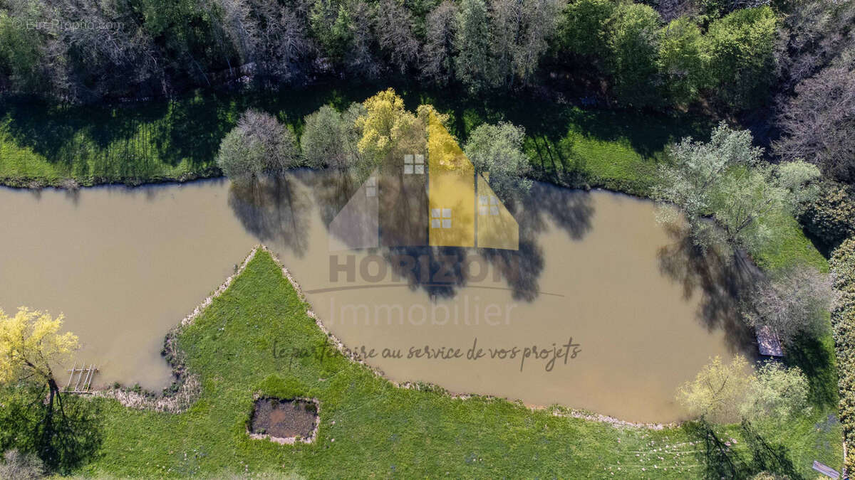 Terrain à SAILLENARD