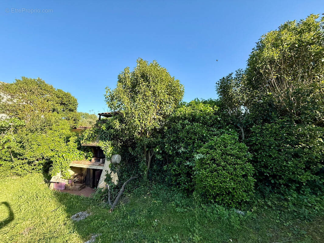 Terrain à BAILLARGUES
