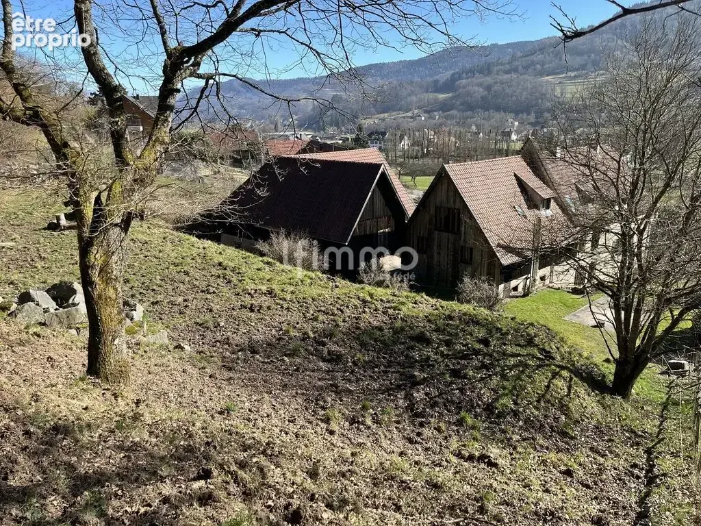 Propriété rare à Munster – Plus de 380 m² sur 1,6 hectare - photo 2