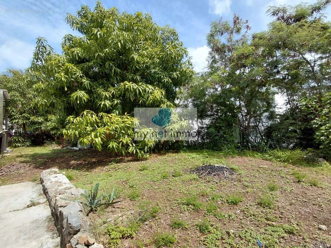 Maison à SAINT-MARTIN