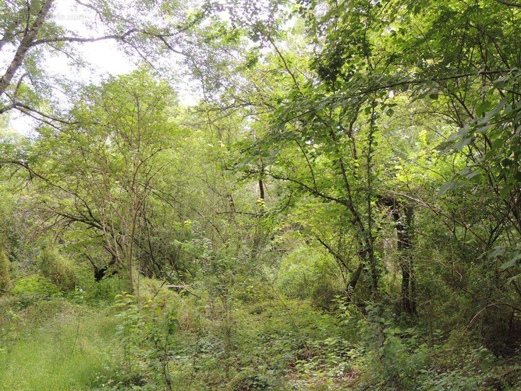 Propriété de chasse Myennes 8 pièce(s) 254 m2 - photo 7