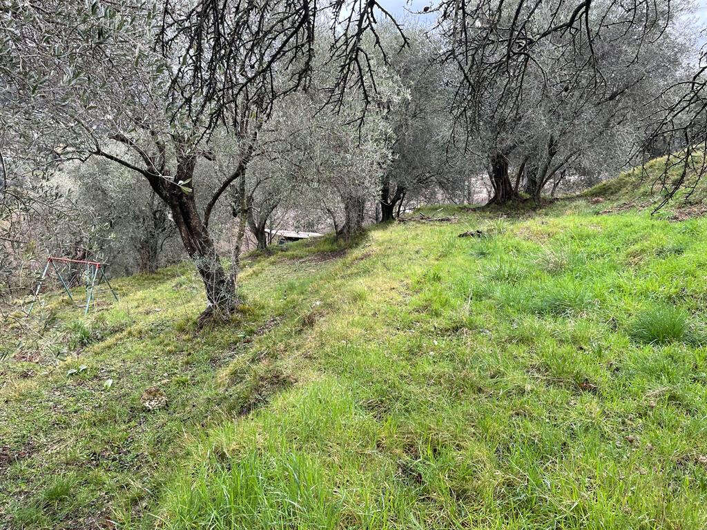 Terrain à SAINT-BLAISE