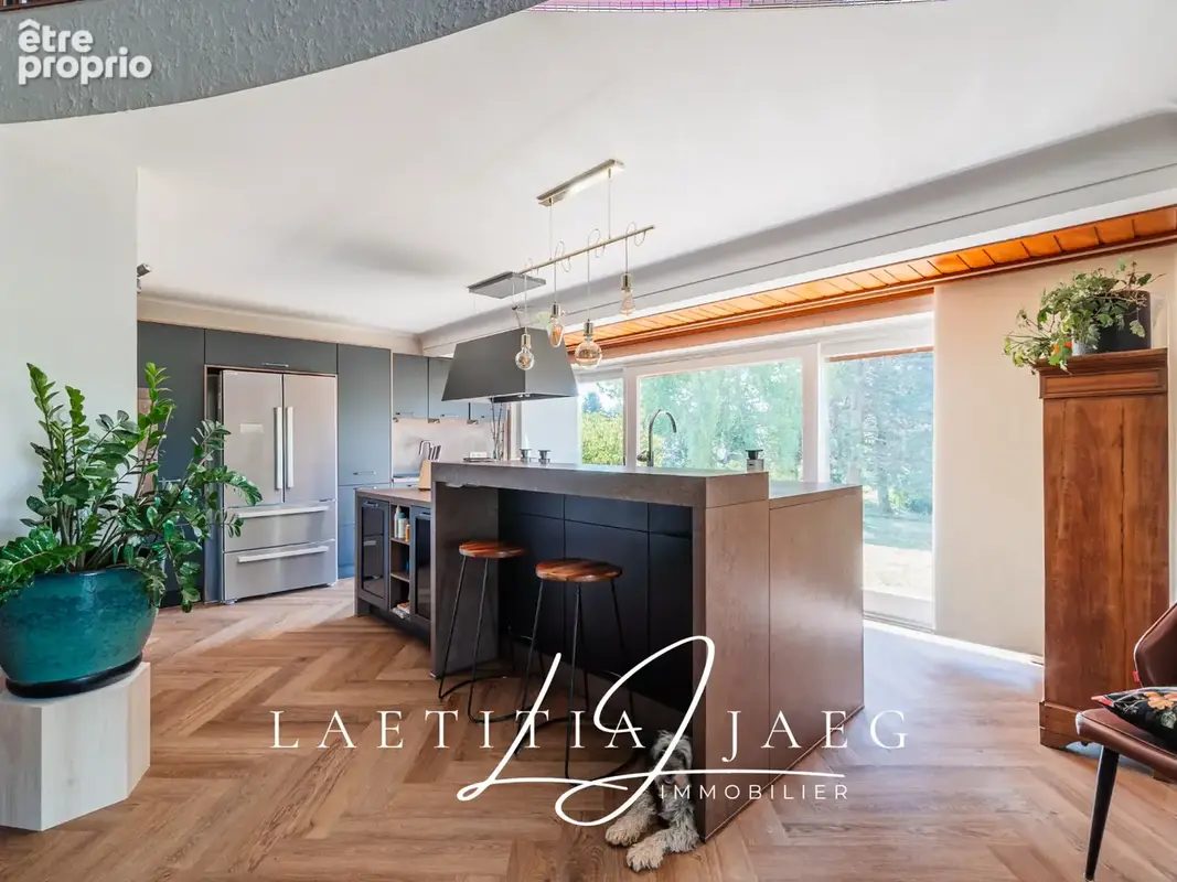 Boofzheim   propriété atypique de charme sur 85 ares avec étang - photo 7