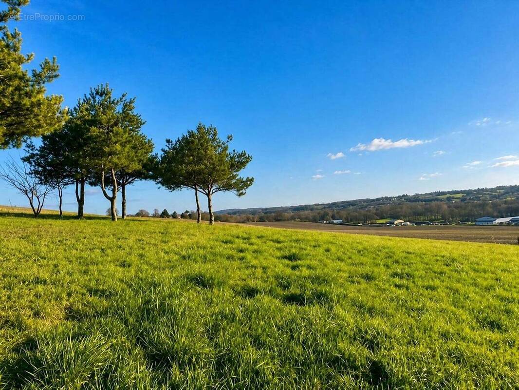 Terrain à VILLETOUREIX