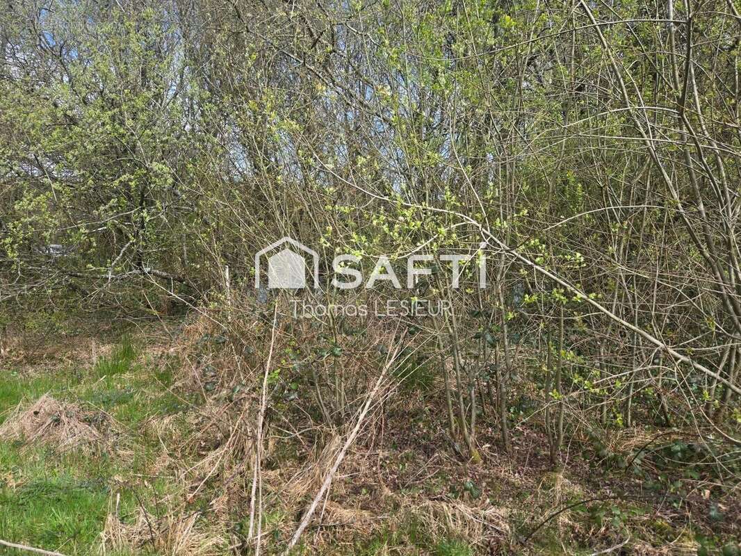 Photo 7 - Terrain à LA FERRIERE-AUX-ETANGS