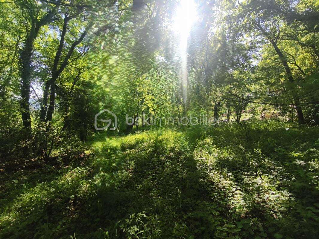 Terrain à REILLANNE