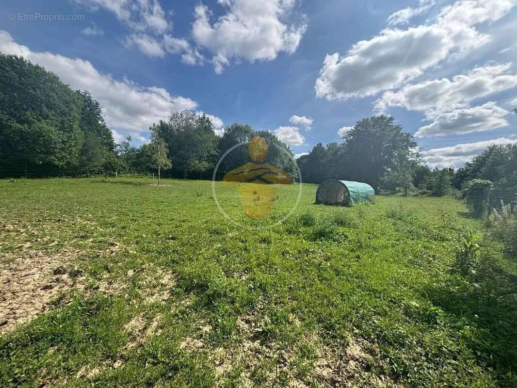 Vente Terrain Saint-nicolas-aux-bois(02410) 53 900ï¿œ - photo 6