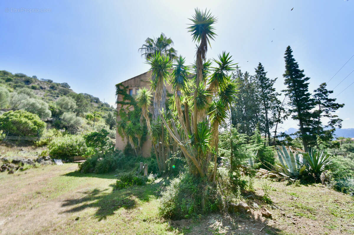Dpt Corse (20) OSANI - Golfe de Porto, à vendre bâtiment de 920m2 à 3KM de la plage, grand terrain avec parking - photo 11