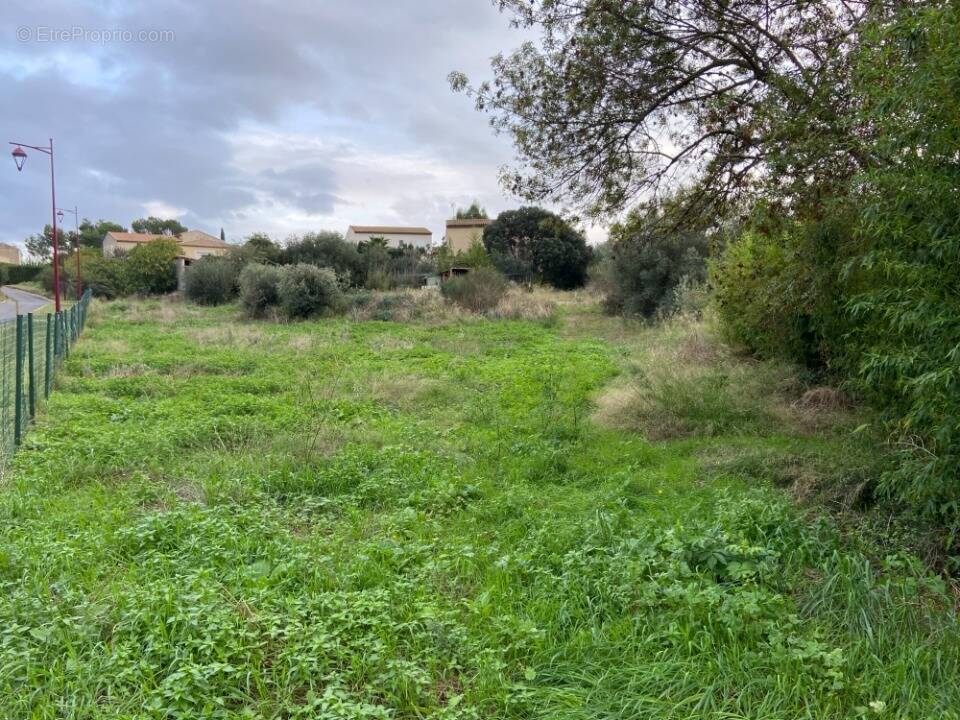 Terrain à QUARANTE