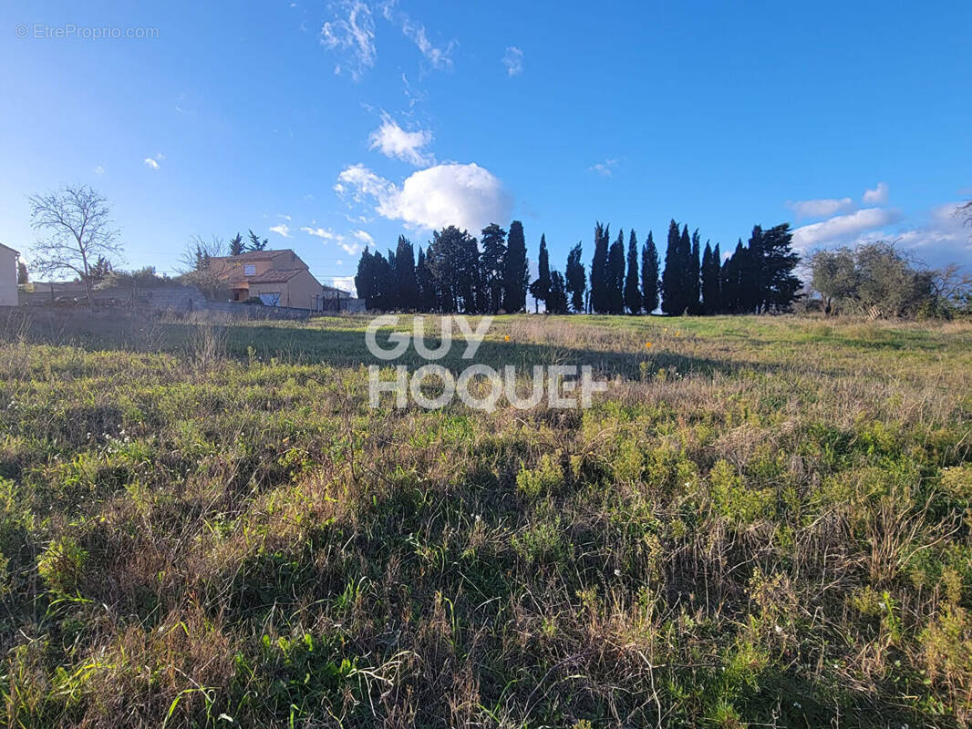 Terrain à CASTELNAU-D&#039;AUDE