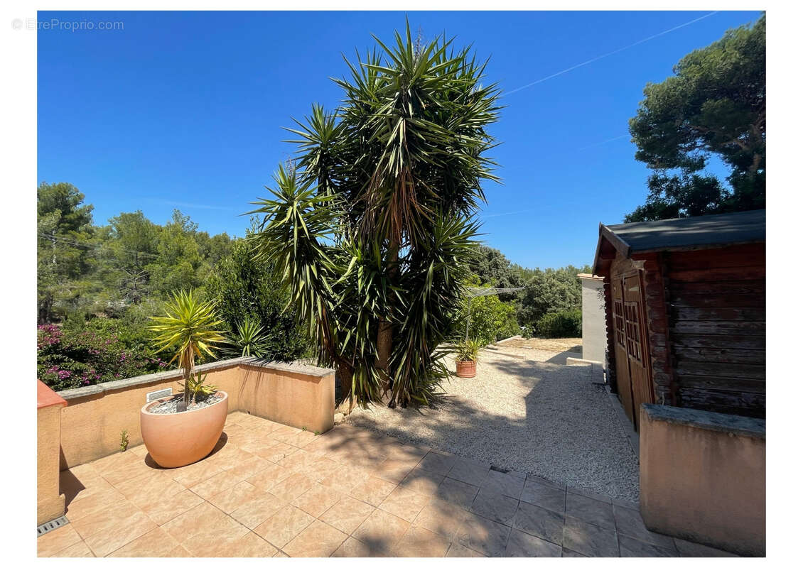 SAINT CYR SUR MER  Charmante maison avec piscine 146 M2 sur 2175 m2 de terrain - photo 16