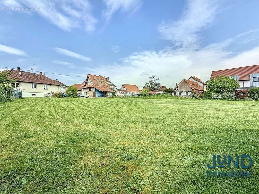 Terrain à SESSENHEIM