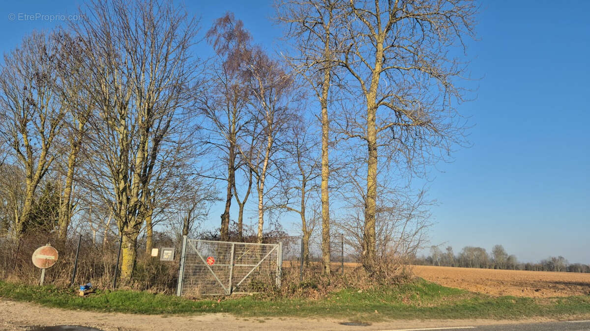 Terrain à ALLONVILLE