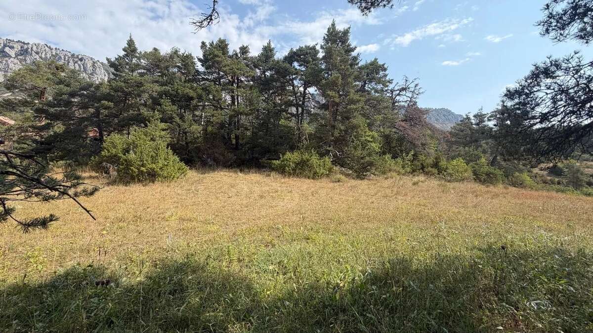 Terrain constructible de 1 990 m² – Un cadre naturel privilégié - photo 4