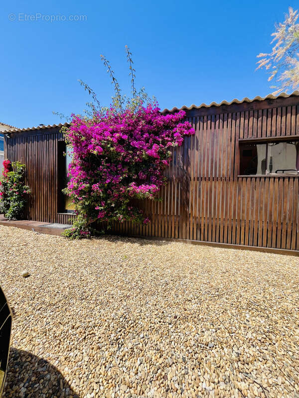 Maison à FRONTIGNAN