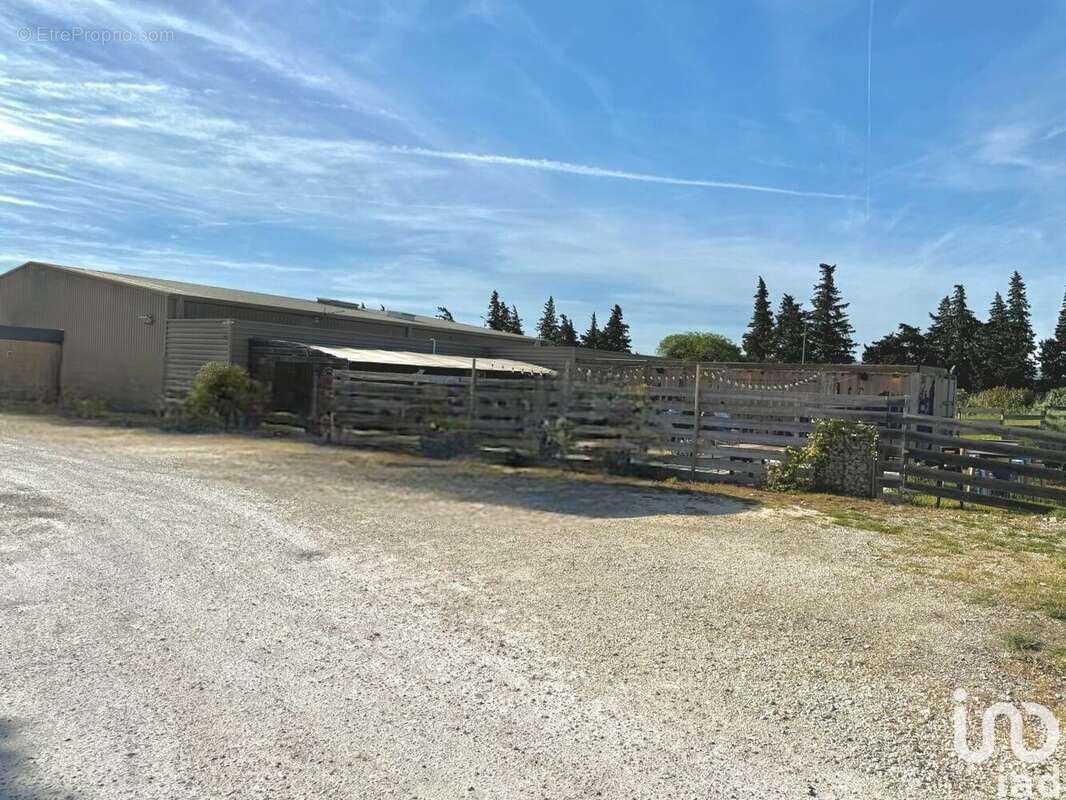 Photo 9 - Commerce à PIERRELATTE