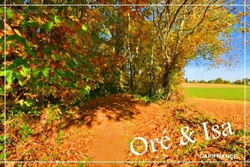 Terrain à SAINT-DESIRE