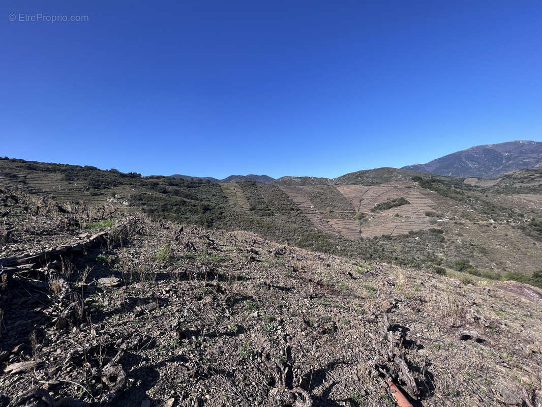 Terrain à BANYULS-SUR-MER