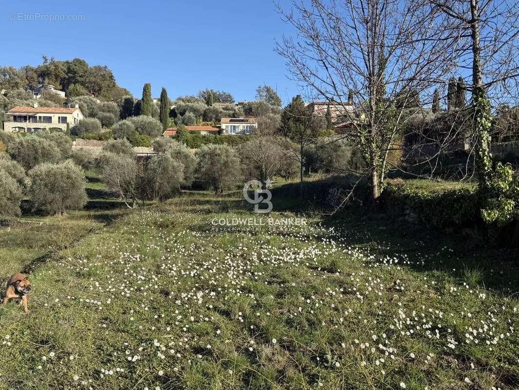Terrain à OPIO