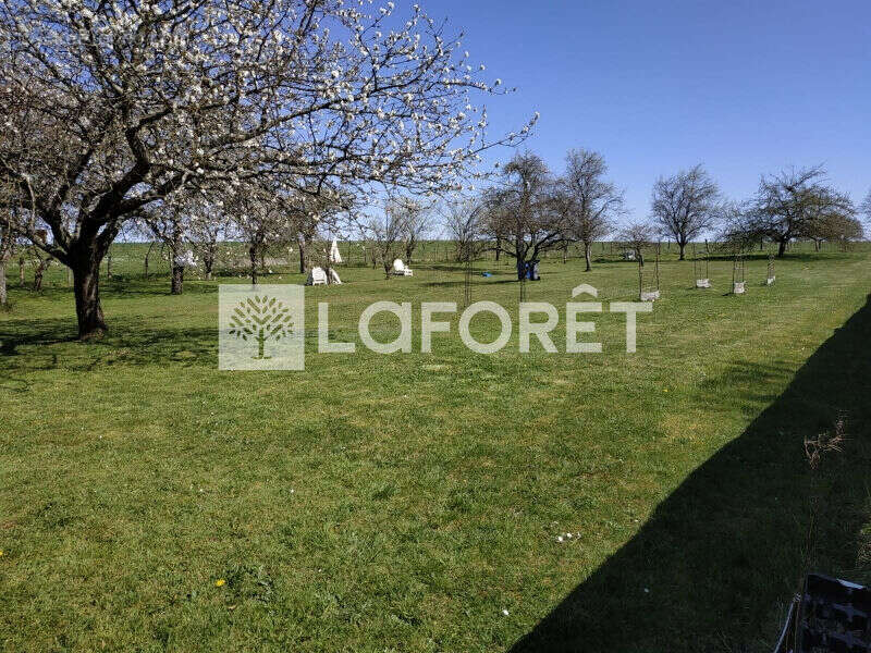 Maison à DAMPIERRE-SUR-SALON