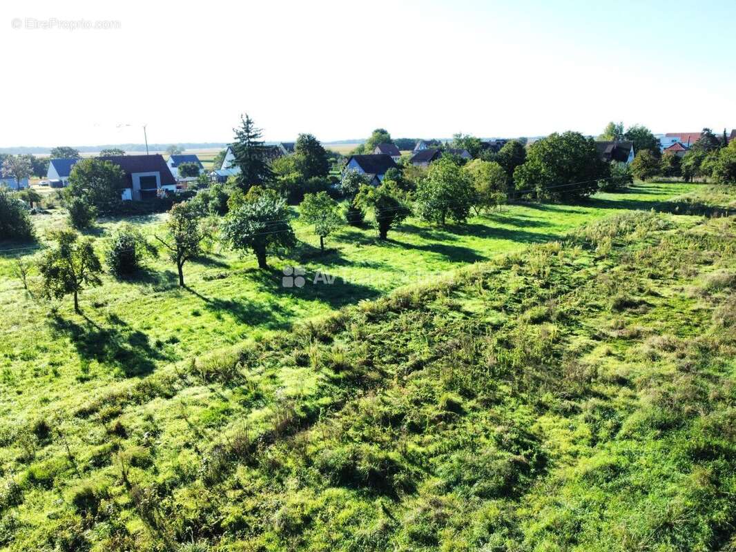 Terrain à GRUSSENHEIM