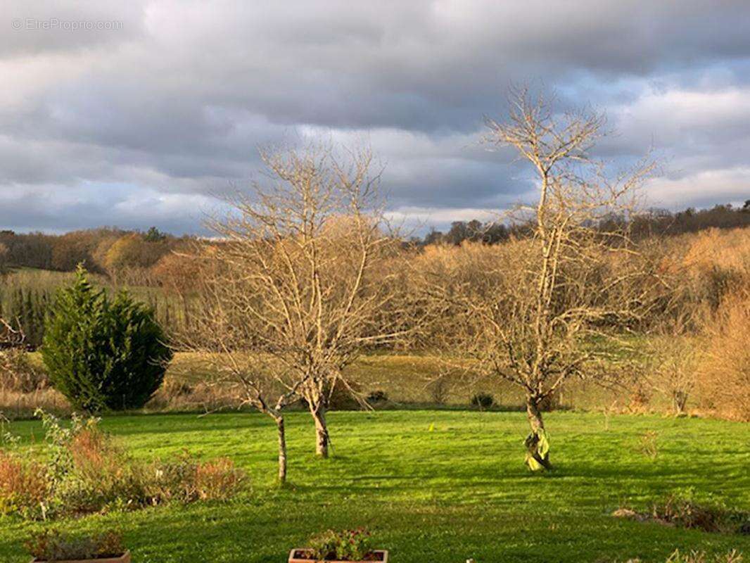 Charmante maison de campagne avec maison d'amis, piscine et intimité totale - photo 16