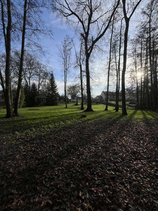 Maison à TOURNAN-EN-BRIE