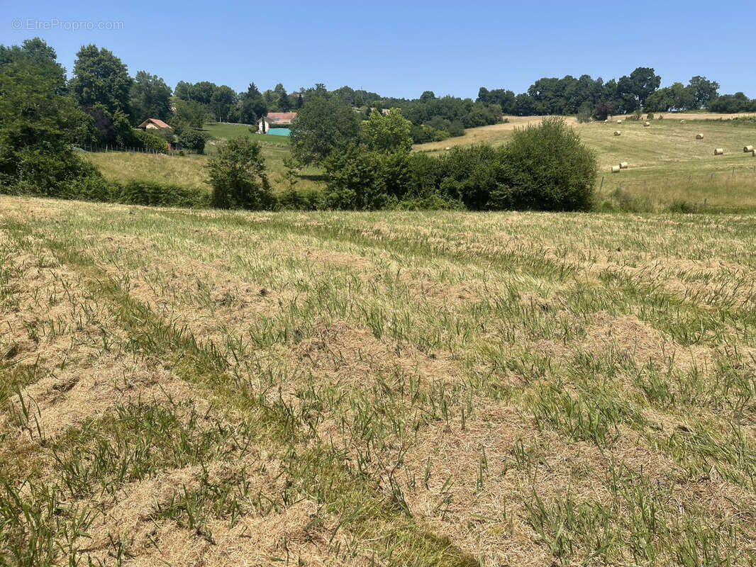 Terrain à SALIES-DE-BEARN