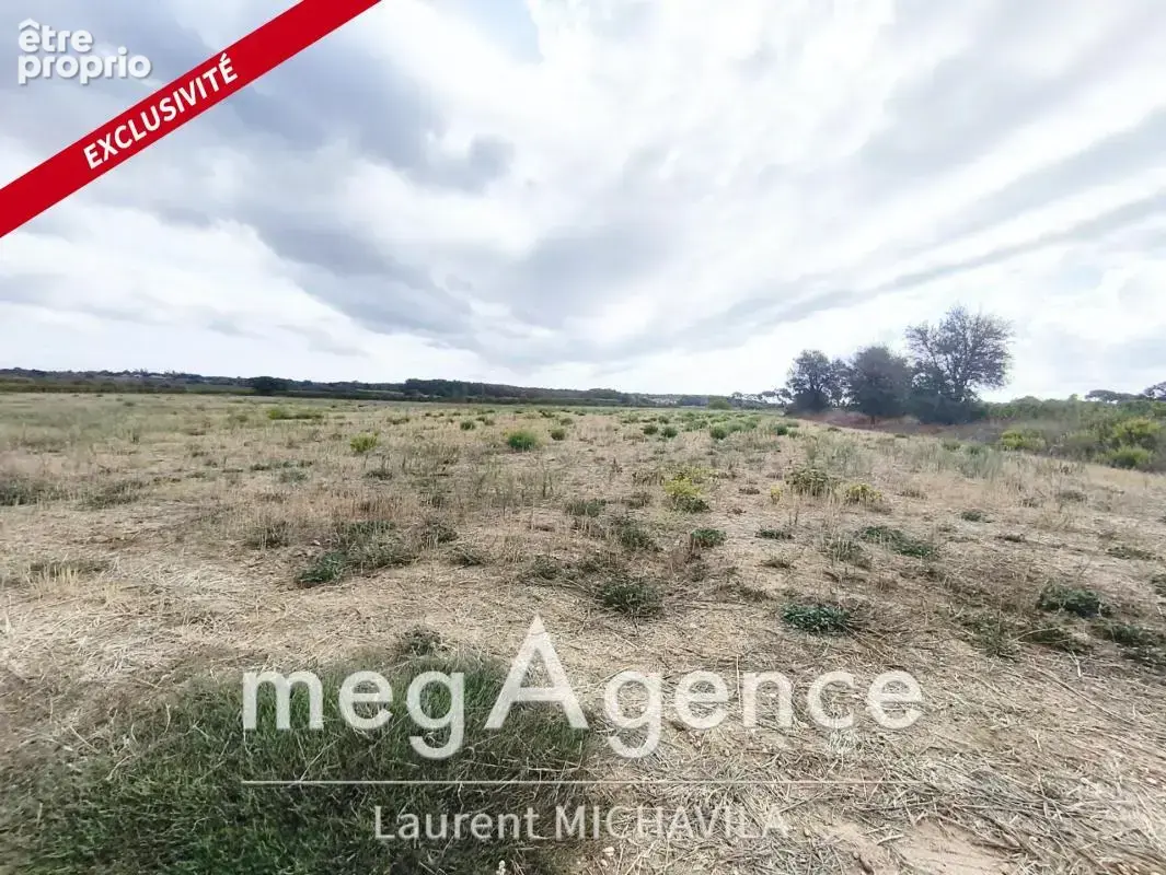Terrain agricole - Caylus, Villeneuve les béziers - 20 000€ - photo 4