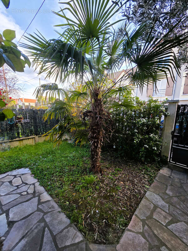 Maison à SAVIGNY-SUR-ORGE