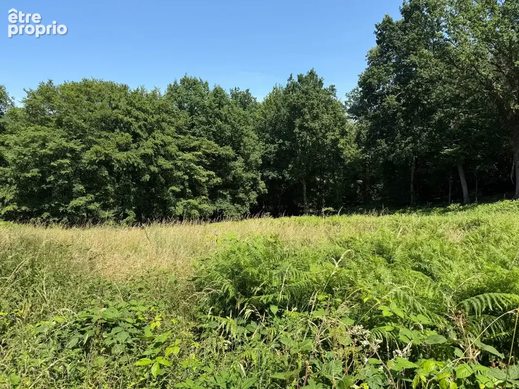 Terrain à vendre de 3 250,00 m² SAINT MARTIN DU VIVIER (76) - photo 5
