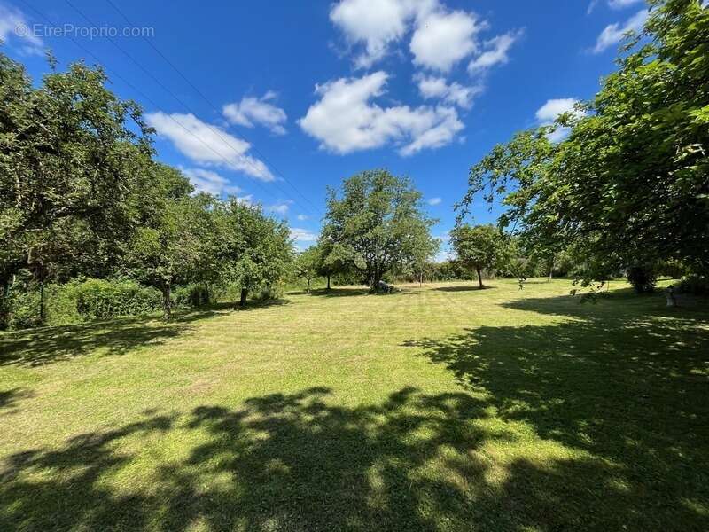 230 m² habitable, garage de 150 m² et terrain de 3735 m² a la ferte sous jouarre - photo 2