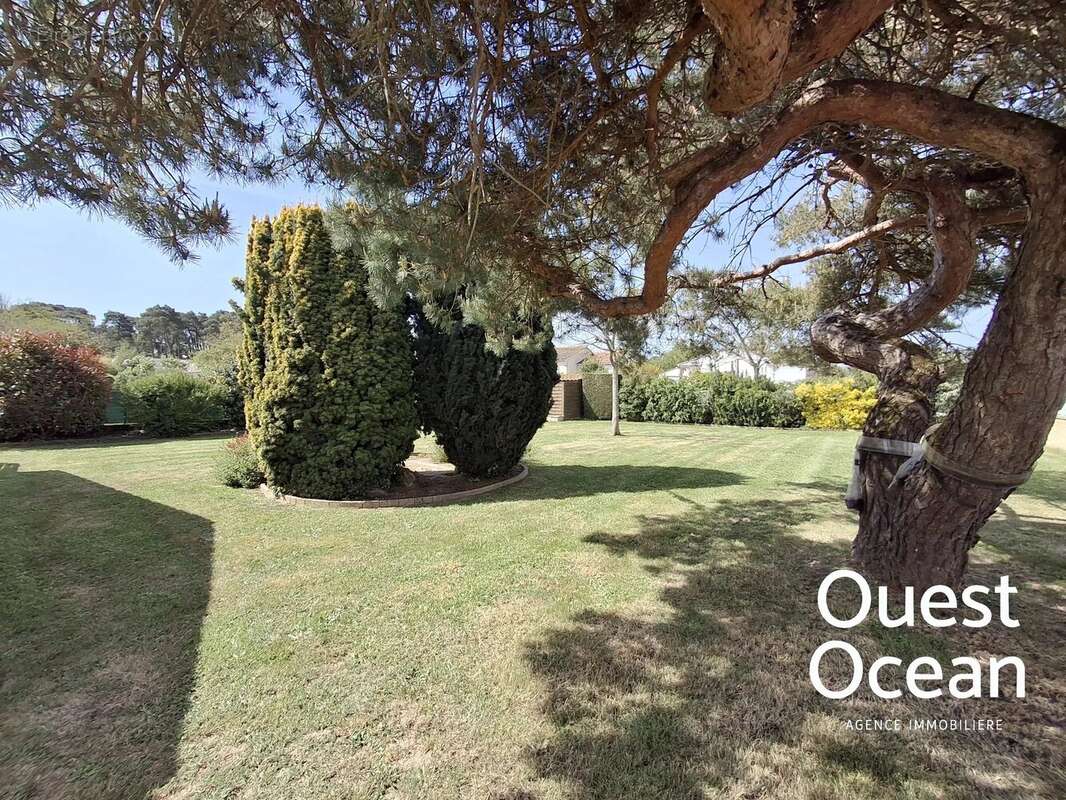 Terrain à JARD-SUR-MER