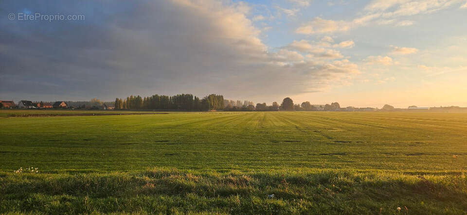 Terrain à HAZEBROUCK
