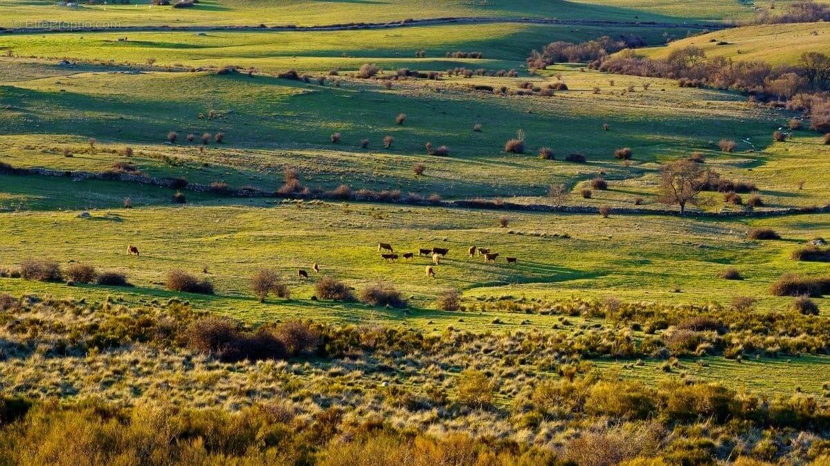 Terrain à LA ROCHE-SUR-YON