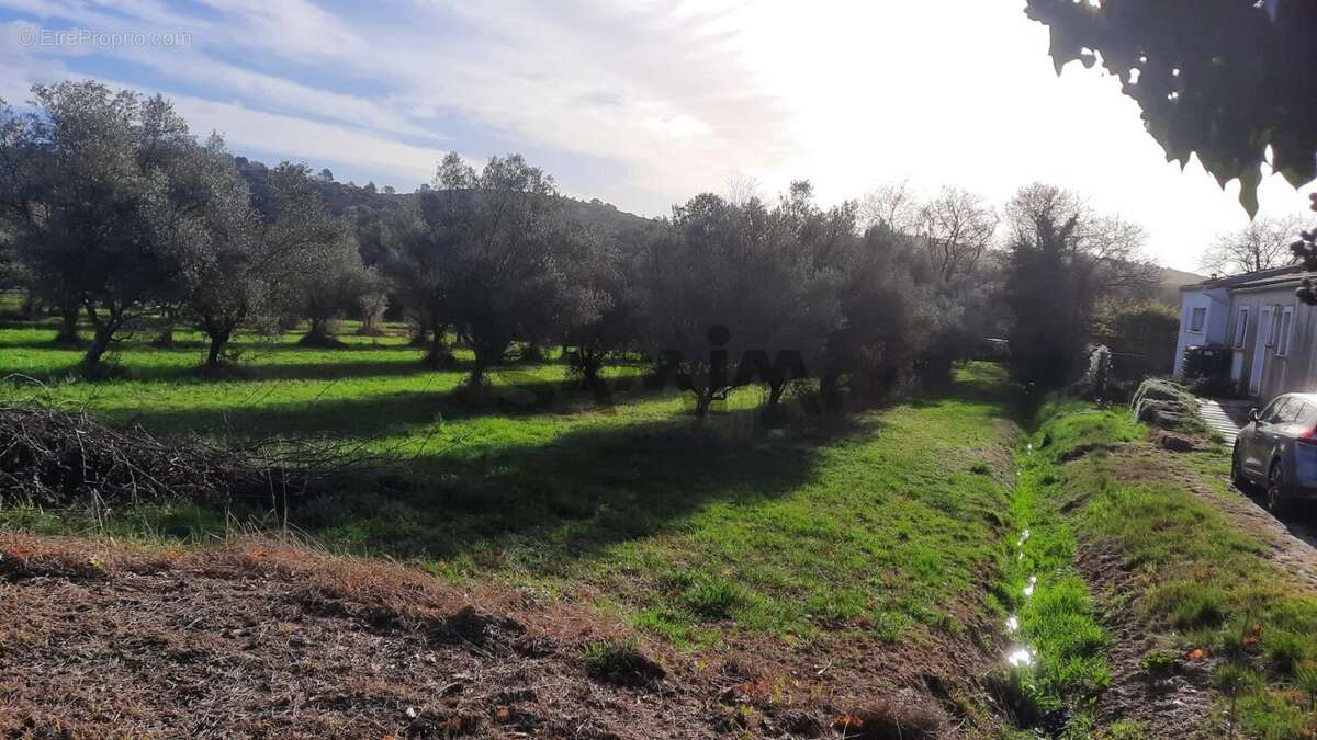 Terrain à QUISSAC