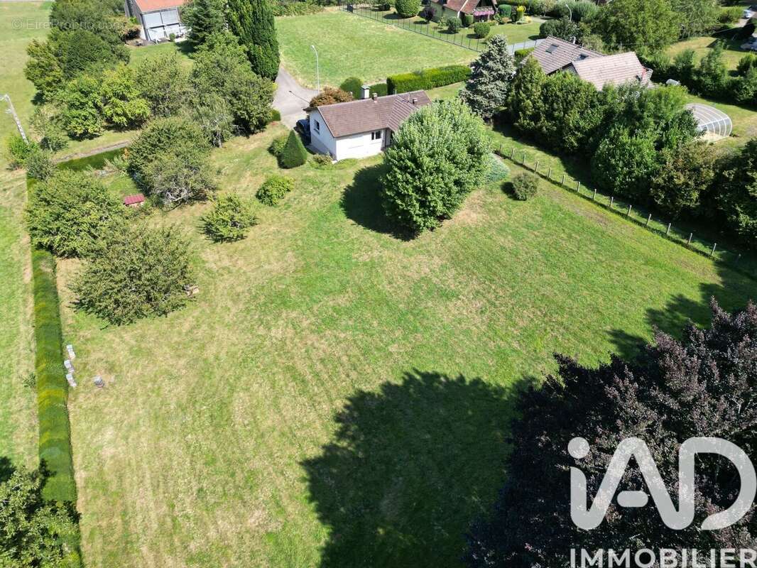 Photo 7 - Terrain à FERRETTE