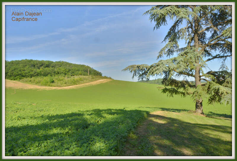 Dpt Lot et Garonne (47), à vendre proche d' AGEN Propriété P8 de 385 m² plus dépendances de 400 M2- Terrain de 25 HA - photo 30