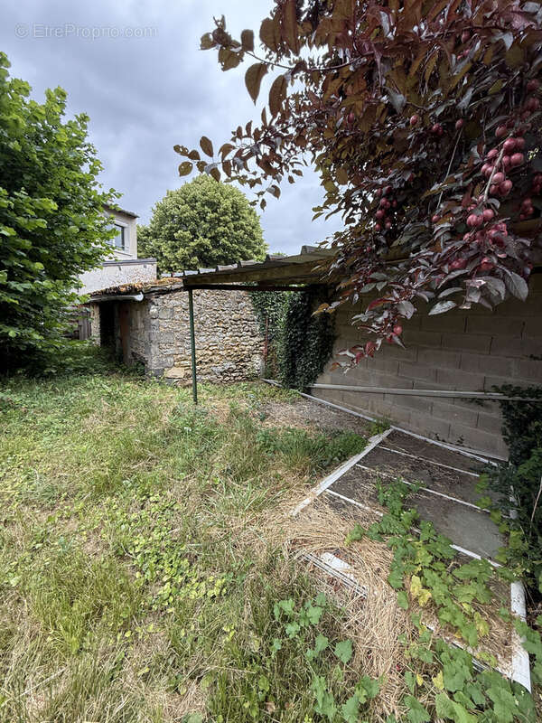 Terrain à ROCHES-PREMARIE-ANDILLE